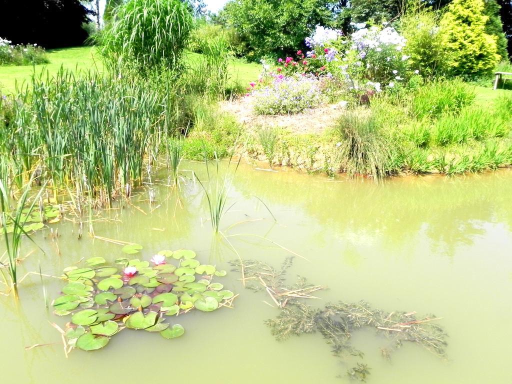 Les Charmilles Bed & Breakfast Hazebrouck Luaran gambar