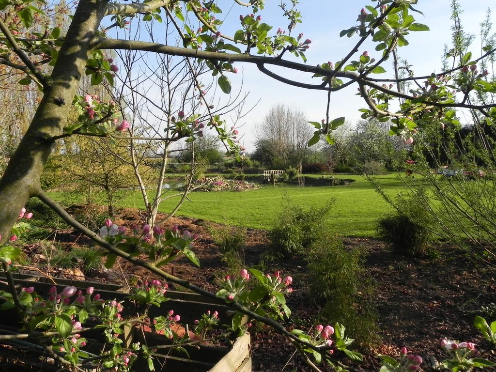 Les Charmilles Bed & Breakfast Hazebrouck Luaran gambar